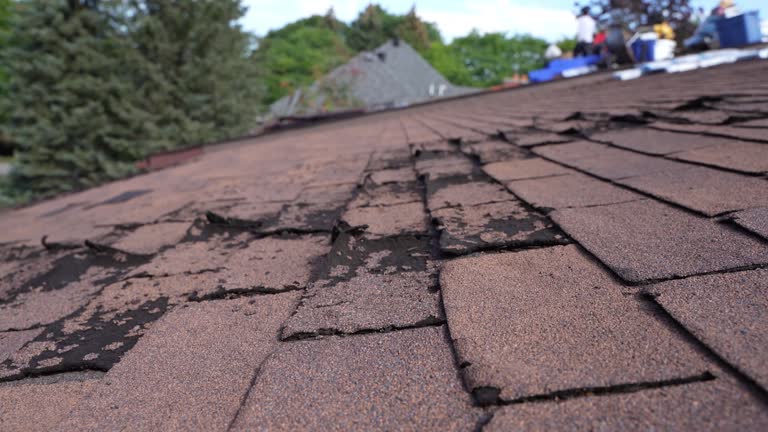 Best Green or Eco-Friendly Roofing Solutions  in Lawton, MI