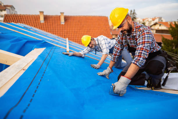 Best Roof Restoration  in Lawton, MI